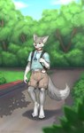 2024 absurd_res anthro backpack bottomwear brown_eyes canid canine canis clean_diaper clothed clothing collar darksidefighter diaper digitigrade dipstick_tail fennec_fox fox fur gloves_(marking) grey_body grey_fur hi_res hybrid leg_markings male mammal markings nintendo outside pacifier pacifier_clip pokemon pokewalker shirt shorts socks_(marking) solo t-shirt tail tail_markings topwear true_fox wearing_diaper wolf xorowolf