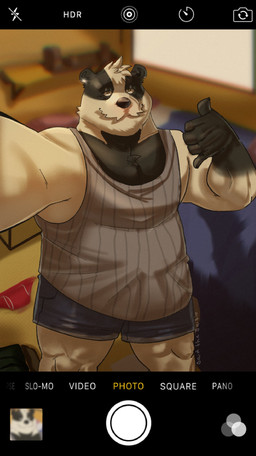 anthro bed bedroom belly big_belly black_body black_nose bottomwear camera_view clothing furniture humanoid_hands inside male selfie shirt shorts solo text topwear white_body said_the_saisio badger mammal mustelid musteline 2022 absurd_res english_text hi_res
