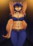 abs anthro big_breasts breasts cleavage clothed clothing collar exposure_variation female front_view hands_behind_head looking_at_viewer midriff muscular muscular_female navel solo madara_artworks sly_cooper_(series) sony_corporation sony_interactive_entertainment sucker_punch_productions carmelita_fox canid canine fox mammal hi_res