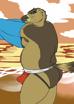 anthro armpit_hair beach beak body_hair bulge butt clothing jockstrap looking_at_viewer male nipples outside overweight overweight_male seaside slightly_chubby smile solo sunset underwear undressing water jamejarrs accipitrid accipitriform avian bird eagle digital_media_(artwork) hi_res