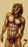 abs anthro biped blue_eyes body_hair brown_hair bulge chest_tuft claws clothed clothing fur hair happy_trail male mane navel nipples simple_background solo standing tan_body tan_fur topless tuft underwear whiskers yellow_background bleakcat felid lion mammal pantherine