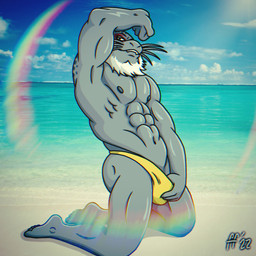abs anthro beach beard butt clothed clothing cloud day facial_hair grey_body grey_nipples hand_on_bulge hand_on_own_bulge kneeling male muscular muscular_anthro muscular_male navel nipples outside pecs pose sand sea sky solo speedo speedo_only swimwear teeth topless water whiskers white_beard white_facial_hair yellow_clothing yellow_speedo yellow_swimwear fabfelipe my_hero_academia selkie_(my_hero_academia) mammal marine pinniped seal spotted_seal 1:1 2022 chromatic_aberration digital_drawing_(artwork) digital_media_(artwork) hi_res pinup
