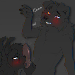 ambiguous_gender animal_genitalia animal_penis anthro balls blush canine_genitalia canine_penis duo eye_contact fellatio female femboy fur genitals knot licking looking_at_another male male/ambiguous moan oral paws penile penis sex shy snout tongue skibaparker border_collie canid canine canis collie domestic_dog fox herding_dog mammal pastoral_dog sheepdog 1:1 hi_res