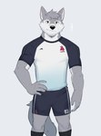 anthro clothing fur male simple_background solo sportswear uniform ixkouu canid canine mammal 2021 digital_media_(artwork) hi_res