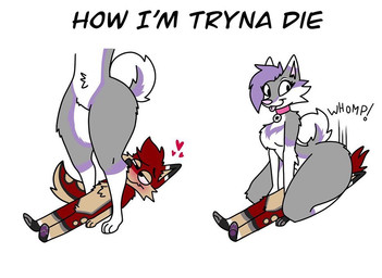 anthro blep blush butt_slam chest_tuft collar curled_tail duo facesitting female hair heart_symbol male pawpads paws purple_hair sitting sitting_on_another standing tail text thick_thighs tongue tongue_out tuft unknown_artist aurora_bloom canid canine canis domestic_dog fox husky mammal nordic_sled_dog spitz english_text