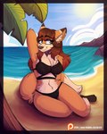 anthro beach bikini blue_eyes breasts brown_hair clothing female hair red_hair seaside sitting sitting_on_ground solo swimwear text two-piece_swimsuit silvetz patreon vixine canid canine fox mammal red_fox true_fox 4:5 absurd_res full-length_portrait hi_res portrait url