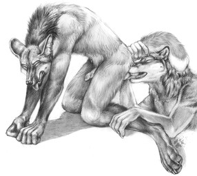all_fours anal anthro ball_lick balls claws duo erection eyes_closed finger_claws fur genitals licking male male/male nude nude_anthro nude_male oral pawpads paws penis pointy_ears prick_ears raised_tail rimming sex simple_background tail tail_grab toe_claws tongue tongue_out white_background blotch scratches_volume_5 canid canine canis mammal maned_wolf wolf 2011 monochrome traditional_media_(artwork)