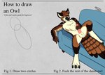 anthro avian balls beak bird brown_body brown_feathers circle claws english_text feather_tuft feathers feet furniture genitals hi_res how-to looking_at_viewer lying male masturbation meme nude on_back on_sofa owl profanity sofa solo tail tail_feathers talons tan_body tan_feathers text thibbycat toe_claws toes tuft yellow_eyes