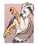 anthro arm_tuft beak black_beak blue_eyes blush cheek_spots cheek_tuft facial_tuft feather_hands feathered_crest feathers featureless_crotch feet head_crest holding_leg male midair nude nude_anthro nude_male raised_leg shoulder_tuft simple_background solo tail tail_feathers talons toes tuft white_body white_feathers wings akiione nintendo tears_of_the_kingdom the_legend_of_zelda tulin_(tloz) avian bird rito 2024 signature