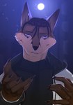 anthro black_nails brown_body brown_fur brown_hair colored_nails ear_piercing eyebrow_piercing facial_piercing fur hair light male moon moonlight nails night piercing purple_eyes solo star teeth white_body white_fur yourumi kais_(yourumi) canid canine fox mammal hi_res