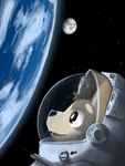 absurd_res ambiguous_gender ambiguous_species astronaut astronaut_suit brown_body bruno_borker earth head_tuft hi_res moon planet reflection solo space spacesuit star tuft whiskers