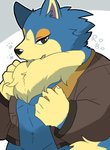 2020 alternate_version_at_source animal_crossing anthro bare_chest blue_body blue_fur brown_clothing brown_jacket brown_topwear canid canine canis chest_tuft claws clothed clothing digital_media_(artwork) fur hi_res jacket male mammal midriff nintendo open_clothing open_jacket open_topwear solo tan_body tan_fur topwear toumoro_22 tuft wolf wolfgang_(animal_crossing)