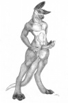 anatomically_correct anatomically_correct_genitalia anatomically_correct_penis animal_genitalia animal_penis anthro balls balls_above_penis erection genitals male marsupial_penis nude penis solo tail tapering_penis sabretoothed_ermine silver_k_roo kangaroo macropod mammal marsupial 2013 monochrome sketch