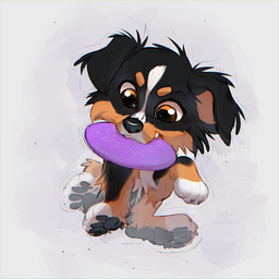 ambiguous_gender black_body black_fur black_nose black_pawpads brown_eyes cheek_tuft chibi eyebrows facial_tuft feral floppy_ears frisbee fur holding_frisbee looking_down markings object_in_mouth orange_body orange_eyebrows orange_fur pawpads purple_frisbee simple_background solo teeth tuft white_markings azzai australian_shepherd canid canine canis domestic_dog herding_dog mammal pastoral_dog sheepdog 1:1 colored colored_sketch digital_drawing_(artwork) digital_media_(artwork) shaded sketch