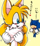 anthro big_eyes big_head blue_body blue_fur blush dipstick_tail duo fur heart_symbol male markings shaking shivering side_mouth tail tail_markings text toony urahyu sega sonic_the_hedgehog_(series) miles_prower sonic_the_hedgehog canid canine eulipotyphlan fox hedgehog mammal japanese_text low_res translated