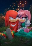 anthro black_nose breasts clothing detailed_background duo female footwear grass male night outside pink_body plant red_body shoes sitting smile star dannyckoo tresertf archie_comics sega sonic_the_hedgehog_(archie) sonic_the_hedgehog_(comics) sonic_the_hedgehog_(series) julie-su knuckles_the_echidna echidna mammal monotreme 2020