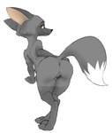 anthro anus avoid_posting bent_over black_nose brown_eyes butt butt_focus canid canine conditional_dnp countershade_face countershading dipstick_tail disney fan_character feet female fox full-length_portrait fur genitals grey_body grey_countershading grey_fur grey_tail hand_on_butt hindpaw looking_at_viewer looking_back mammal markings multicolored_tail nude paws portrait presenting presenting_anus presenting_hindquarters presenting_pussy pussy rear_view red_fox silver_fox simple_background solo tail tail_markings true_fox w4g4 white_background zootopia