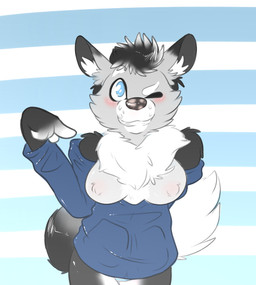 anthro blue_eyes blush breasts clothed clothing exposed_breasts female fur hair hoodie naturally_censored nipple_tuft one_eye_closed panties partially_clothed presenting presenting_breasts simple_background smile solo teeth topwear tuft underwear wink backsash canid canine canis domestic_dog husky mammal nordic_sled_dog spitz 2015 absurd_res digital_media_(artwork) hi_res