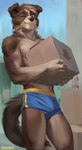 anthro athletic athletic_wear bottomwear box brown_body brown_fur brown_hair bulge cardboard cardboard_box cardboard_container clothed clothing container detailed_background fur gym_bottomwear gym_shorts hair holding_object looking_at_viewer male one_eye_closed outside short_hair shorts smile solo standing tan_body tan_fur topless wink chunie border_collie canid canine canis collie domestic_dog herding_dog mammal pastoral_dog sheepdog 2022 adobe_photoshop_(artwork) digital_media_(artwork) digital_painting_(artwork) hi_res