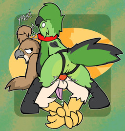 3_toes anal anal_fluids anthro anus avian_feet balls bdsm beak black_body black_feathers black_legs bodily_fluids brown_body brown_feathers butt butt_focus cere_(anatomy) collar cum eyelashes feathers feet female female_penetrating female_penetrating_male genital_fluids genitals green_body green_feathers heart_(marking) leaking_cum leash leash_pull leashed_collar leashed_top looking_at_another looking_at_partner looking_pleasured male male/female male_penetrated markings motion_lines multicolored_body multicolored_feathers no_pupils onomatopoeia penetration penis petplay pink_anus power_bottom roleplay sex shadow simple_background sound_effects spread_legs spreading strapon strapon_in_ass strapon_insertion talons text toes vulva white_body white_feathers wings yellow_legs otterjunk cleo_(cleothebirb) accipitrid accipitriform avian bird 2026 absurd_res digital_drawing_(artwork) digital_media_(artwork) hi_res trans_(lore) trans_man_(lore)