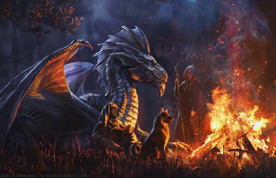 ambiguous_gender book campfire clothing female feral fire forest fur grass group hat headgear headwear holding_book holding_object holding_staff hood light male open_mouth open_smile outside plant scales size_difference smile snout staff text tree akreon dungeons_and_dragons hasbro mythology wizards_of_the_coast canid canine canis domestic_dog dragon dragon_(dnd) human mammal mythological_creature mythological_scalie scalie silver_dragon_(dnd) english_text lighting official_art shaded