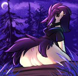anthro anus bedroom_eyes big_butt bottomless butt cigarette cigarette_in_mouth clothed clothing collar ear_piercing female genitals hair hoodie hoodie_only long_hair looking_at_viewer looking_back narrowed_eyes night object_in_mouth piercing plump_labia pokemorph presenting presenting_hindquarters presenting_vulva puffy_anus seductive shirt shirt_only sitting solo topwear topwear_only vulva minzylab42 nintendo pokemon pokemon_legends_arceus cinder_(minzylab42) generation_8_pokemon hisuian_form hisuian_typhlosion pokemon_(species) regional_form_(pokemon) hi_res