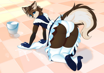 all_fours anthro big_butt black_nose blue_eyes brown_body brown_fur brown_hair bucket bulge butt cleaning_tool clothed clothing container crossdressing femboy floor footwear fur gloves grey_body grey_fur hair handwear high_heels legwear looking_at_viewer maid_uniform male multicolored_body multicolored_fur multicolored_hair panties pumps raised_tail shoes solo stockings tail tan_body tan_fur tan_hair tile tile_floor underwear uniform water white_body white_fur kamri2032 foshka canid canine mammal maned_wolf 2021 absurd_res digital_drawing_(artwork) digital_media_(artwork) hi_res