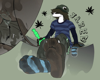 4_toes anthro between_toes bodily_fluids bong claws clothing dirty dirty_clothing dirty_feet dirty_socks drugs duo extreme_size_difference feet foot_fetish foot_focus foot_play footwear male male/male marijuana micro pawpads paws size_difference smelly smelly_feet socks soles sweat sweaty_feet toe_claws toes torn_clothing torn_footwear torn_socks latemochalatte badger mammal mustelid musteline 5:4 hi_res