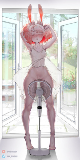 anthro barely_visible_genitalia barely_visible_vulva clothed clothing detailed_armpit dress female genitals glistening_armpit hair inside multicolored_hair no_underwear pink_hair presenting_armpit raised_clothing raised_dress solo two_tone_hair vulva white_hair imabunbun ima_(imabunbun) lagomorph leporid mammal rabbit digital_media_(artwork) hi_res shaded