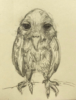 beak calm claws feathers feral front_view looking_at_viewer male sad solo standing wings reynard_goodfellow avian bird owl meme monochrome sketch