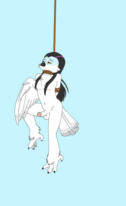 anthro asphyxiation balls bdsm beak belly biped bodily_fluids bondage bound choking circumcised circumcision_scar claws death_erection erection erotic_asphyxiation feathered_wings feathers feet genital_scar genitals green_highlights grey_eyes hair hands_behind_back hanged highlights_(coloring) humanoid_genitalia humanoid_penis long_hair male noose nude penis pink_highlights restraints rope rope_bondage scar simple_background snuff solo struggling sweat tail tail_feathers talons toes white_body white_feathers wings yellow_sclera enookie aaron_amethyst_(character) avian bird horned_owl owl snowy_owl true_owl 2d_animation animated animated_gif digital_media_(artwork) hi_res loop short_playtime source_request