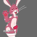 anthro clothed clothing crossdressing erection genitals male penis solo starabbit lagomorph leporid mammal rabbit 1:1 hi_res