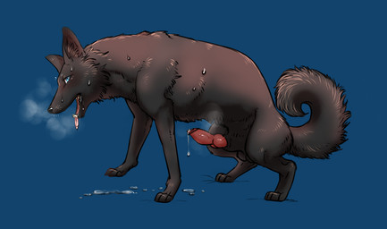 animal_genitalia animal_penis balls black_body black_fur blue_eyes blush bodily_fluids canine_genitalia canine_penis censor_bar erection feral fur genital_fluids genitals ineffective_censorship knot male open_mouth penis precum rounded_back solo sweat tongue tongue_out denmoko canid canine canis domestic_dog mammal censored hi_res