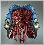 anthro avian beak bird bisected bisected_skull blood blue_body blue_feathers bodily_fluids brain brain_matter corpse death death_focus decapitation feathers gore green_eyes hi_res kolkolukija male mouth_shot open_mouth organs solo surgical_operation tongue