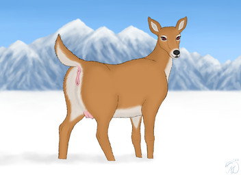 animal_genitalia animal_vulva anus blue_sky blurred_background brown_body brown_fur cervine_genitalia cervine_vulva female feral fur genitals landscape looking_back markings mountain outside pink_vulva raised_tail red_eyes sky snow solo tail teats udders vulva white_body white_fur white_markings winter maklykan deer mammal new_world_deer white-tailed_deer hi_res