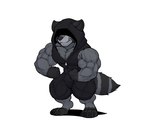 anthro biceps big_muscles bulge flexing male muscular muscular_legs muscular_male pecs simple_background sleeveless_hoodie solo vein veiny_muscles white_background kheel mammal procyonid raccoon