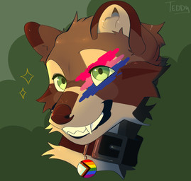 anthro bisexual_pride_colors black_collar collar fur green_eyes grey_body grey_fur lgbt_pride male pride_color_flag pride_colors progress_pride_colors progressive_pride_flag simple_background solo sparkles toasty_teddy victor_(mrmoopne) mammal procyonid raccoon absurd_res hi_res