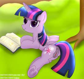 anus book butt clitoral_winking clitoris cutie_mark feathered_wings feathers female feral fur genitals grass hair horn multicolored_hair outside plant purple_body purple_eyes purple_fur purple_hair smile solo tree two_tone_hair vulva wings shutterflyeqd friendship_is_magic hasbro my_little_pony mythology twilight_sparkle_(mlp) equid equine mammal mythological_creature mythological_equine winged_unicorn 2015 absurd_res hi_res