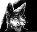 2014 anthro blackteagan canid canine fox greyscale male mammal monochrome sketch smile solo