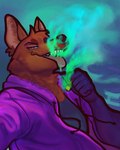 anthro cheek_tuft clothing drugs facial_tuft fangs fur green_background half-closed_eyes hoodie male marijuana marijuana_blunt narrowed_eyes neck_tuft open_mouth open_smile orange_body orange_fur purple_body purple_fur simple_background smile smoke smoking smoking_marijuana solo teeth tongue tongue_out topwear tuft diadorin pyrocynical canid canine fox mammal 2022 4:5