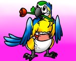 blue_body blue_feathers clean_diaper clothed clothing diaper diaper_only feathers feral flower happy looking_up male plant rose_(flower) solo tail tail_feathers toony topless wearing_diaper wings yellow_body yellow_feathers pidgopidgey_(artist) avian bird macaw neotropical_parrot parrot true_parrot