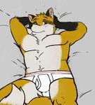 anthro bed black_hands black_nose blush body_hair briefs bulge chest_hair clothing fur furniture hands_behind_head looking_at_viewer looking_up lying male on_back on_bed orange_body orange_fur smile solo tail underwear white_body white_fur p_rindustries canid canine fox mammal