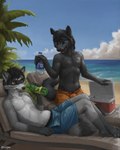 anthro beach black_body black_fur black_hair bladder_bulge bottle chair clothed clothing container cooler countershading duo facial_markings fur furniture grey_body grey_fur hair head_markings holding_bottle holding_container holding_object legs_together looking_at_another lounge_chair lying male markings mask_(marking) omorashi outside seaside sitting soda_bottle swimming_trunks swimwear topless white_body white_countershading difetra canid canine canis mammal procyonid raccoon wolf 4:5 hi_res