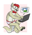 anthro black_nose black_pawpads blue_eyes blue_seam_briefs blue_seam_underwear bow_tie briefs clothing colored_seam_underwear computer electronics eyewear fur glasses hair laptop male mouse_cursor nerd pawpads paws pink_background red_bow_tie red_hair red_seam_briefs red_seam_underwear side_view simple_background sitting smile solo tan_body tan_fur teeth teeth_showing text tighty_whities typing underwear white_background white_body white_briefs white_clothing white_fur white_underwear mushketeery aka_the_otter mammal mustelid otter absurd_res english_text hi_res