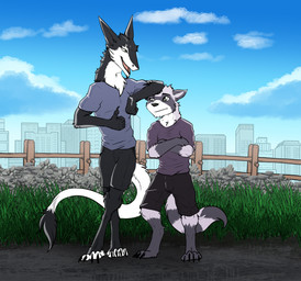 anthro claws crossed_arms duo grass humor male open_mouth open_smile outside plant size_difference smile standing urban zafara_(artist) mammal procyonid raccoon sergal hi_res
