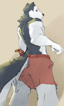 4_fingers anthro black_body black_fur black_nose clothed clothed_anthro clothed_male clothing fingers fluffy fluffy_tail fur humanoid_hands looking_back male multicolored_body multicolored_fur solo swimming_trunks swimwear tail topless topless_anthro topless_male two_tone_body two_tone_fur wardrobe_malfunction white_body white_fur slate windfall_(book) max_saber canid canine canis domestic_dog husky mammal nordic_sled_dog spitz