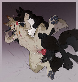 animal_genitalia animal_penis anthro anthro_on_anthro anthro_penetrated anthro_penetrating anthro_penetrating_anthro areola balls black_body black_fur blush bodily_fluids breast_grab breasts canine_genitalia canine_penis claws duo eyes_closed face_lick female female_anthro from_behind_position fur genital_fluids genitals hand_on_breast heart_symbol inner_ear_fluff knot knotted_penis licking lying male male/female male_anthro nipples on_side one_leg_up open_mouth pawpads paws penetration penile penile_penetration penis penis_in_vagina pointy_ears prick_ears raised_leg romantic romantic_couple sex sound_effects spoon_position tail tan_body tan_fur teeth toe_claws tongue tuft vaginal vaginal_fluids vaginal_penetration yellow_eyes ershd echo_(wolffylegend) zeeah_(characters) canid canine canis coyote mammal wolf 2026 digital_media_(artwork) hi_res signature