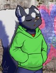 anthro big_tail black_body black_fur bottomwear brick_wall brown_eyes clothing denim denim_bottomwear denim_clothing ear_tuft fluffy fluffy_tail fur graffiti hand_in_pocket hands_in_both_pockets hoodie jeans male multicolored_body multicolored_fur one_eye_closed pants pockets shirt simple_background solo tail topwear tuft two_tone_body two_tone_fur wall_(structure) white_body white_fur wink young young_anthro otorigin lemmy_(lemmy_niscuit) mammal mephitid skunk spotted_skunk 2020 half-length_portrait hi_res portrait signature