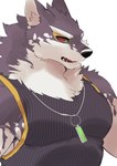 anthro clothing fur green_eyes jewelry male multicolored_body multicolored_fur muscular muscular_anthro muscular_male necklace pecs red_sclera shirt solo tank_top topwear nokia1124_a lifewonders live_a_hero monomasa canid canine canis domestic_dog husky mammal nordic_sled_dog spitz absurd_res hi_res