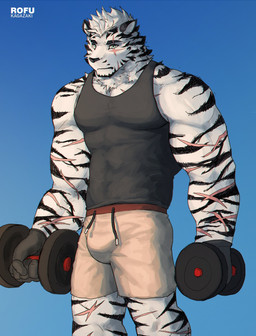5_fingers anthro black_body black_fur bottomwear bulge clothing exercise eye_scar facial_scar fingers fur gradient_background holding_object male multicolored_body multicolored_fur muscular muscular_anthro muscular_male scar shirt shorts simple_background striped_body striped_fur stripes tank_top text topwear two_tone_body two_tone_fur weightlifting white_body white_fur workout rofu_kagazaki arknights hypergryph studio_montagne mountain_(arknights) felid mammal pantherine tiger 2022 absurd_res artist_name hi_res